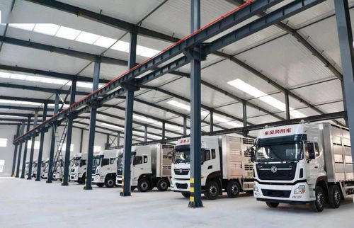 雙招雙引驅動新動能 觀摩威海高賽華運特種運輸車輛生產(chǎn)基地項目，助力城市配送運輸服務升級